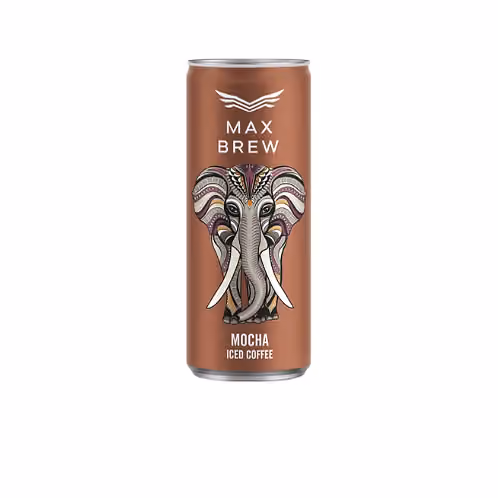 Max Fly Max Brew Iced Coffee Mocha pack shot
