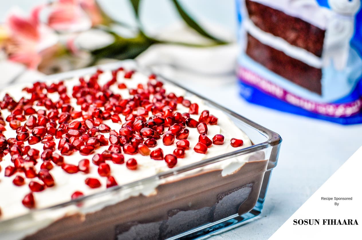 Chocolate Trifle — photograph by lonumedhu.com
