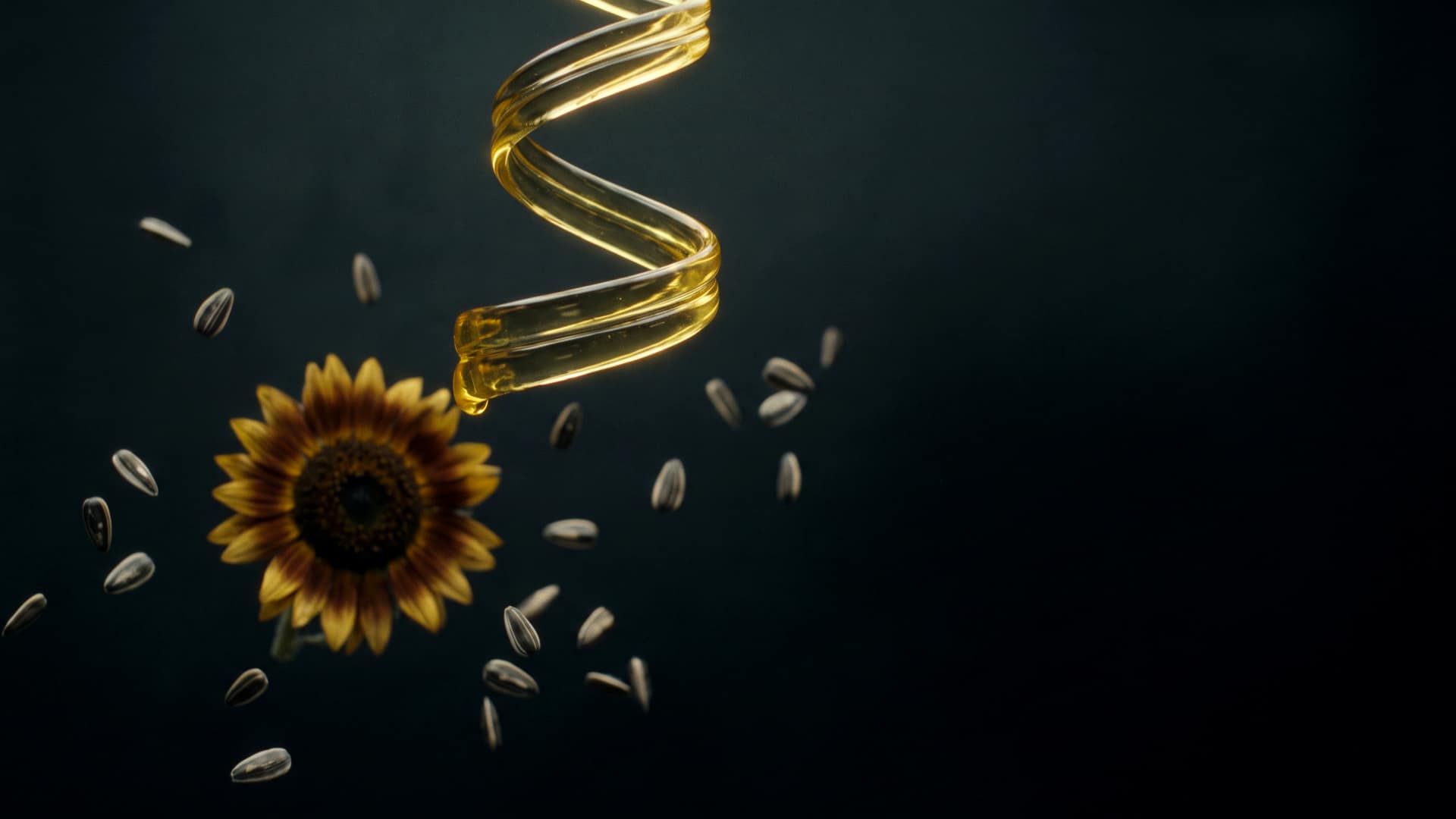 A ribbon of golden sunflower oil twisting in mid-air above a sunflower head, with striped sunflower seeds suspended around it in the dark