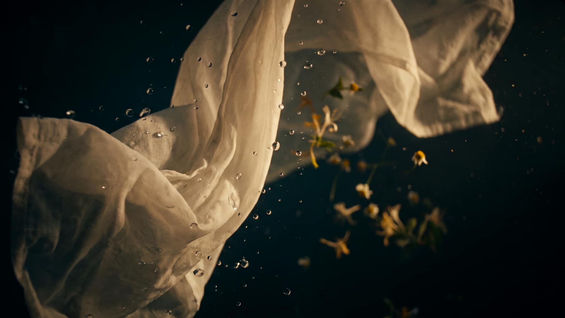 Soft white cotton cloths drifting weightlessly like silk, scattered with clear water droplets and honeysuckle blossoms
