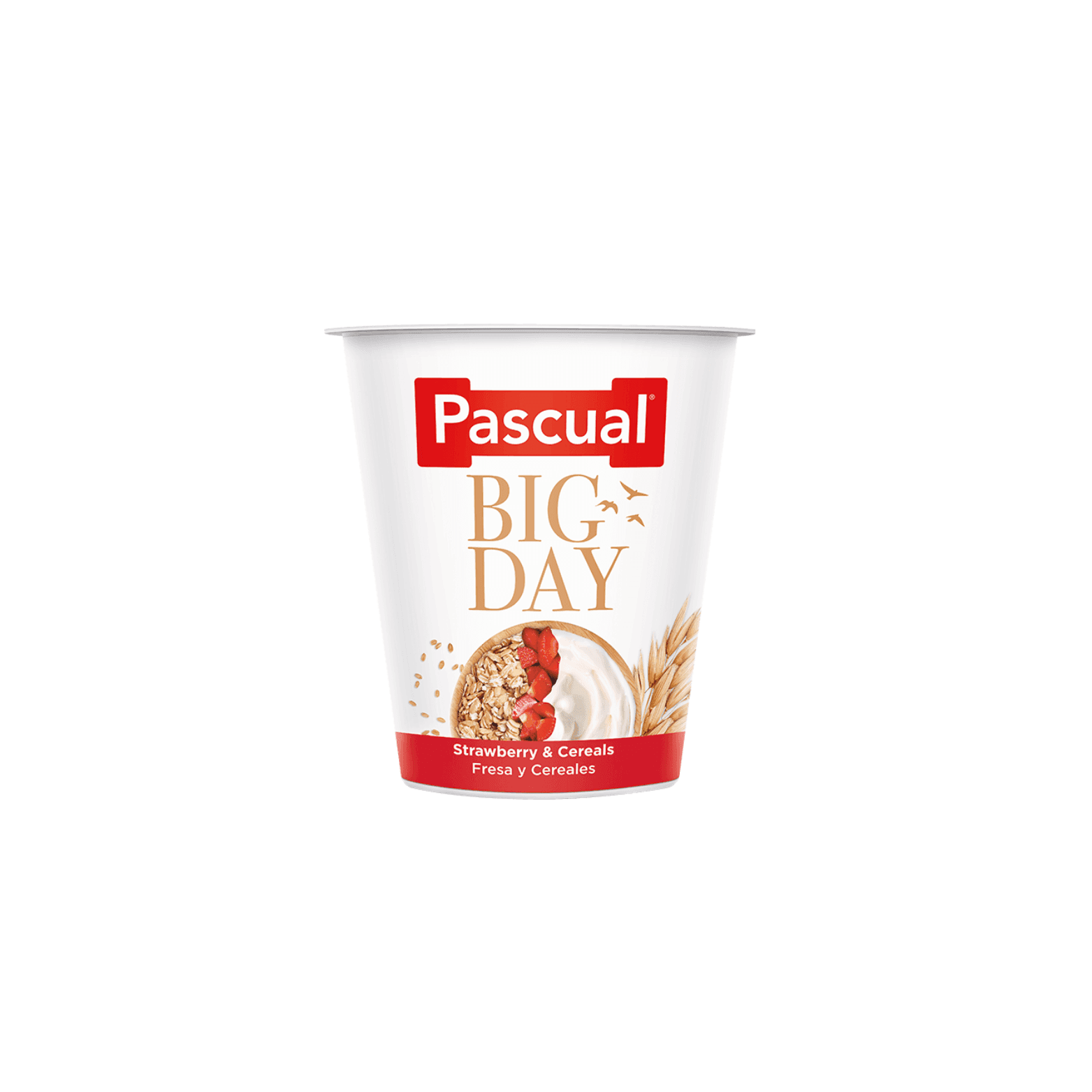 Pascual Pascual Yogurt Bigday Strawberry & Cereals pack shot