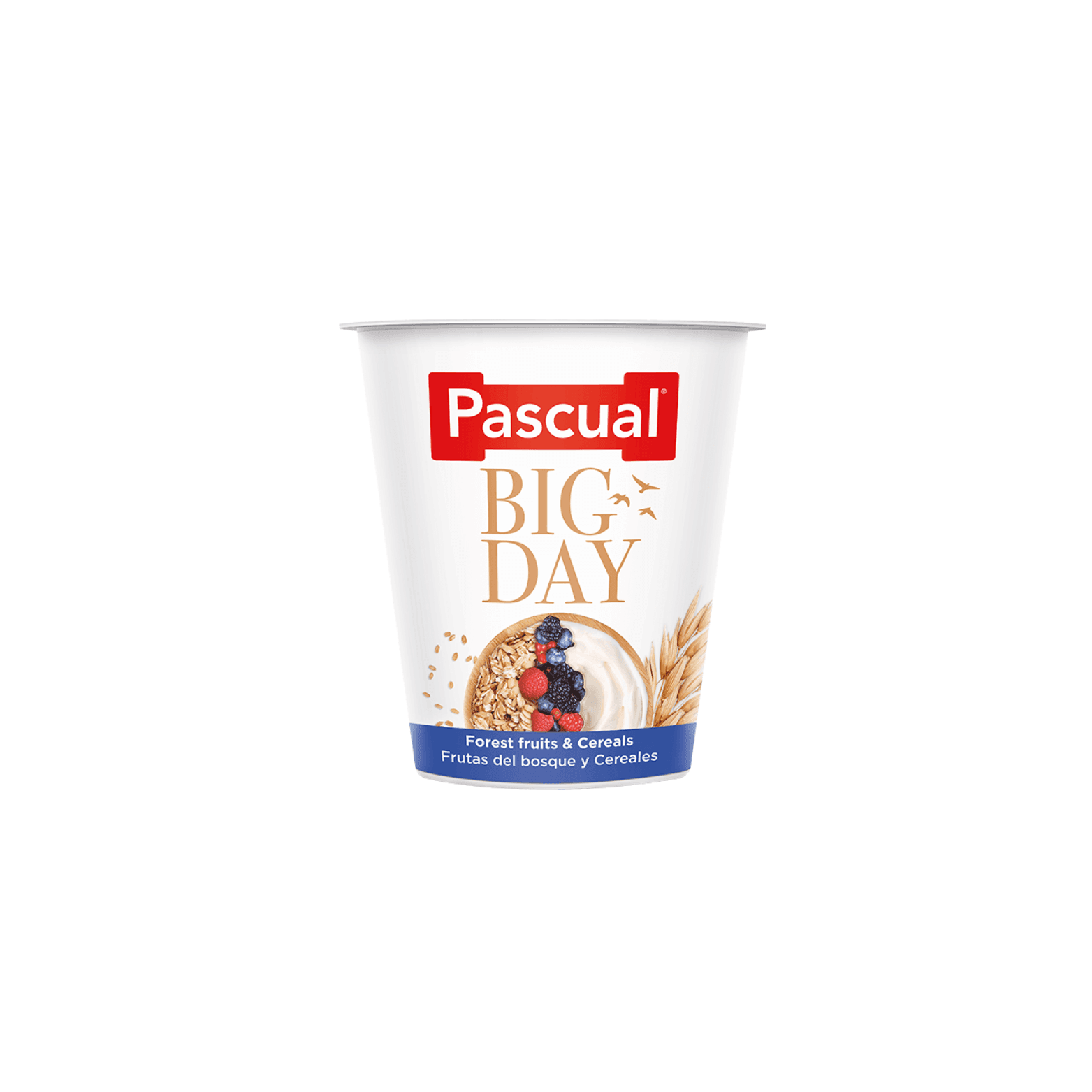 Pascual Pascual Yogurt Bigday Forest Fruits & Cereals pack shot