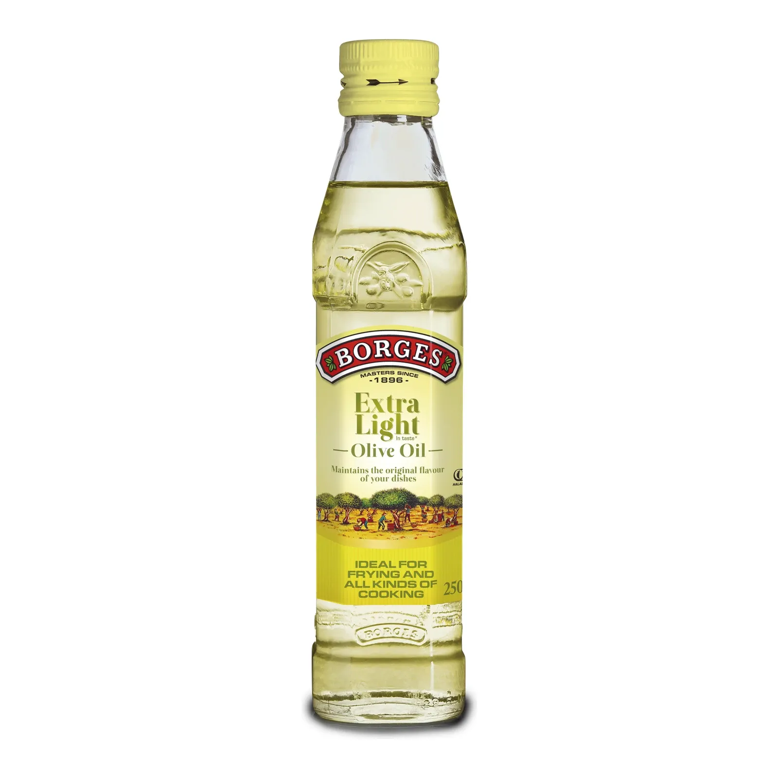 Borges Extra Light Olive Oil 250ml glass bottle studio packshot