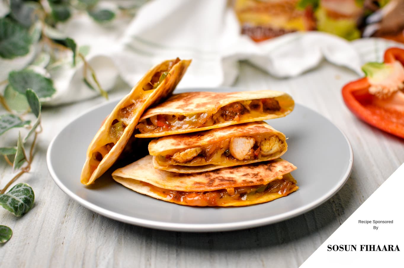 Chicken Quesadilla — photograph by lonumedhu.com