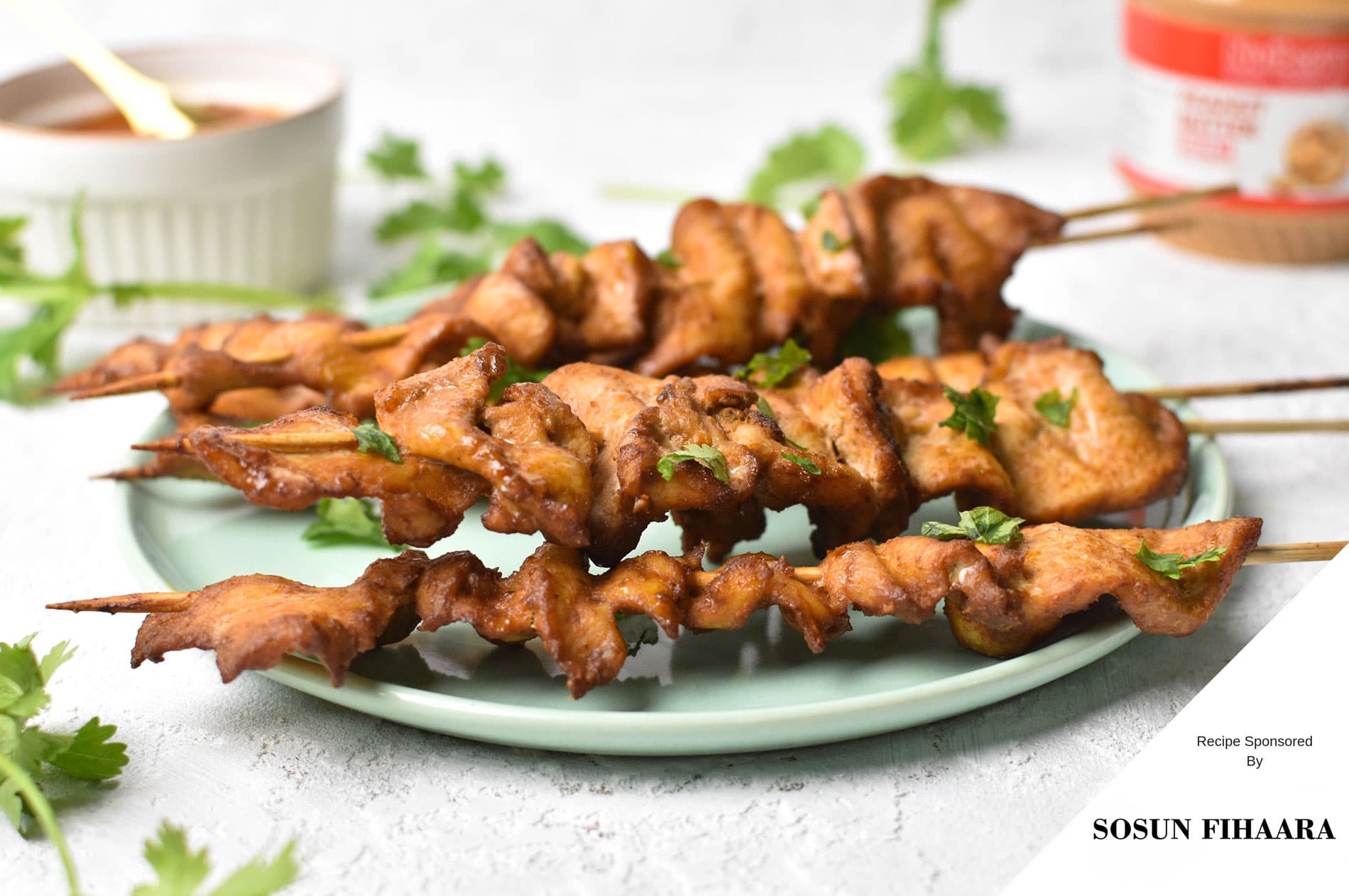 Chicken Satay — photograph by lonumedhu.com