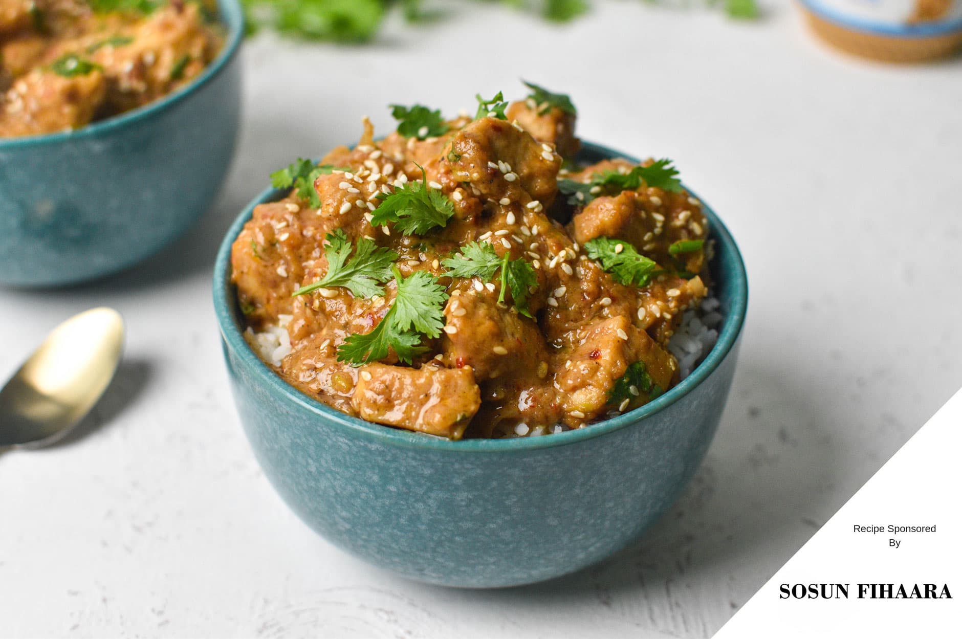 Peanut Butter Chicken — photograph by lonumedhu.com